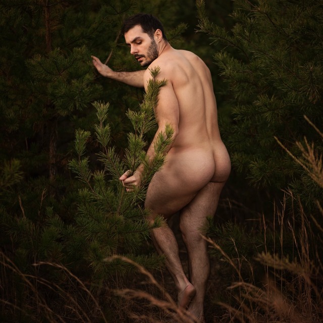 butt-boys:Into the woods. 