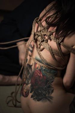 thevertigonetwork:  Kinbaku:Osada SteveModel:Kuro 