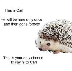 Danguy96: Hi, Carl.