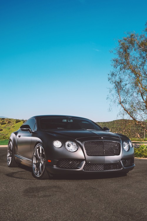 javysb:  GT by Derek Wheeler 