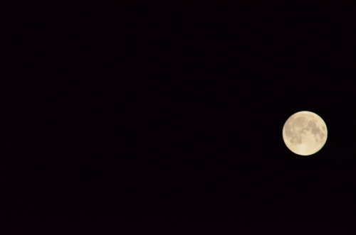 morganathewitch: Own.Just a few random pictures from tonight’s moon shoot.