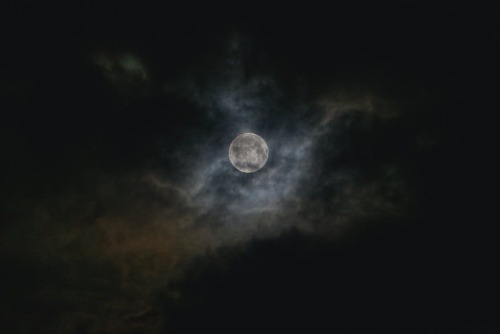 Full moon by Elias Tigiser