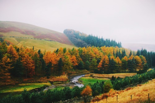 dpcphotography:  Autumn Landscapes