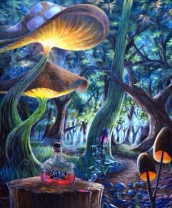 letsgethighwme:Welcome to paradise 👽🌳🍄🌀