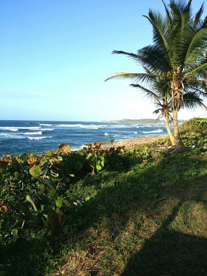 warriorescrib:  My Puerto Rico my home taken by me and My Bf