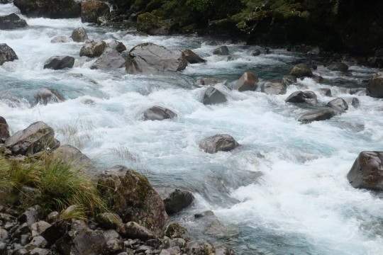 The Chasm