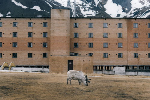 neueregel:Pyramiden, Svalbard archipelago