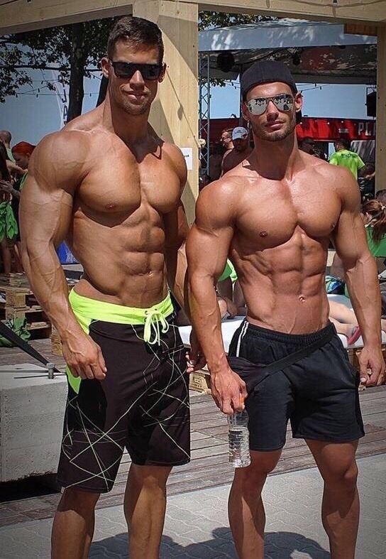 phd-bullrider:Hard bodies = Hard-on!
