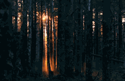 Collegeblowsbutiwantafuture:  Found On Brickflow 