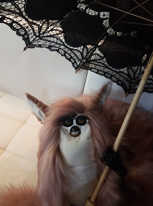 buttered-noodles: Caroline found my lace parasol. She wasn’t quite sure what this weird object