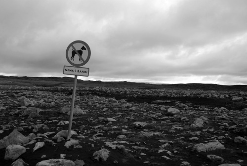 No dogs allowed. Skógar - Þórsmörk hiking trail, Iceland, September 2010.