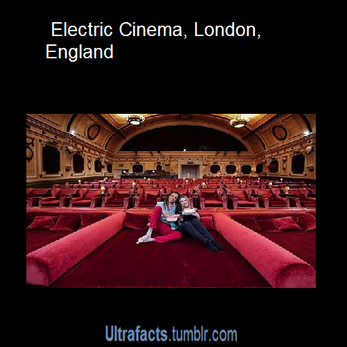 whitewhoreneedsmoreblackcocks:  ultrafacts:  Coolest movie theaters from around the world. Want more posts like this? Follow Ultrafacts!  Now on my “bucket list” to visit each theater and enjoy a movie night there. 