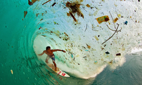 Porn photo Surfing between garbage in Java, Indonesia.