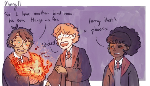 minryll:Based on a dream I had where Fawkes decided he likes Harry better than Dumbledore————-@waiti