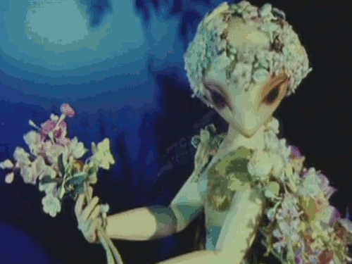 Ji Trnka: Sen Noci Svatojnsk(1959) | A Midsummer Nights Dream