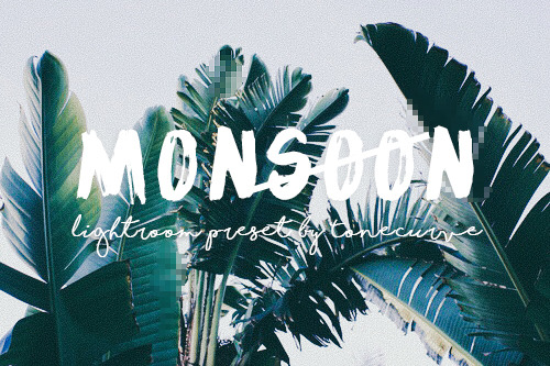 tonecurve - Introducing MONSOON lightroom preset by Tonecurve...