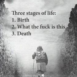 lolfactory:  Realistically, we are all currently in the second stage of life.  funny Tumblr ☆ Facebook ☆ Twitter ☆ follow  [this funny picture via lolsnaps] 