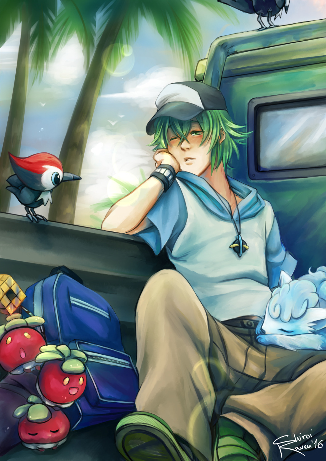 Pokemon Alola anime hopes