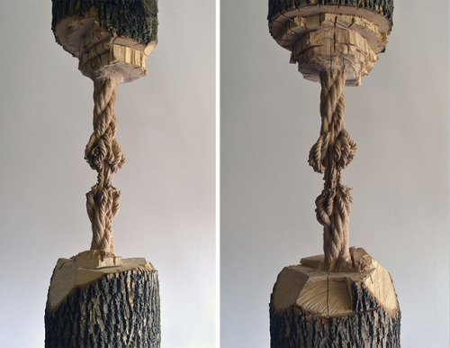 thedesigndome:Artist Carves Wooden Rope Sculpture From a Tree TrunkArtist Maskull Lasserre indulges 