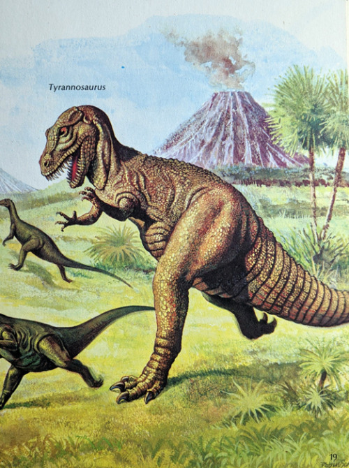 horrible-lizards:Tyrannosaurus, 1970It almost looks like she’s skipping. A happy T-Rex just en