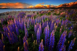 sublim-ature:  Southern Alps, New ZealandPatrick Marson Ong