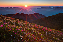 neptunesbounty:  Sunset from Skyline Divide