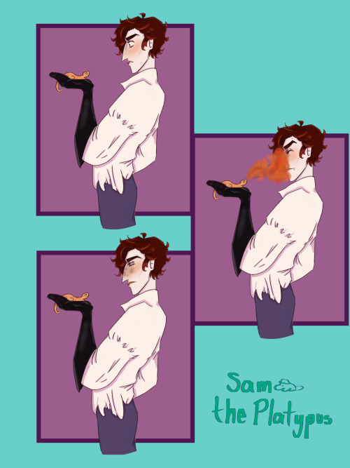 Julian And The Stove Salamander