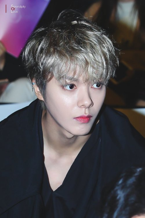 serendipity of love ✦ please do not edit!