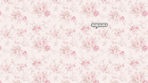 vriskamindfangserket:  i just thought i’d share the wallpapers i have circulating on my desktop ♥ 