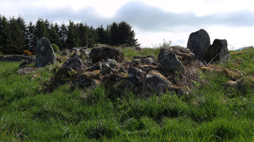 ‘Eslie The Lesser’ Stone Circle, nr Banchory, Scotland, 30.5.18.The last of three stone circles in c