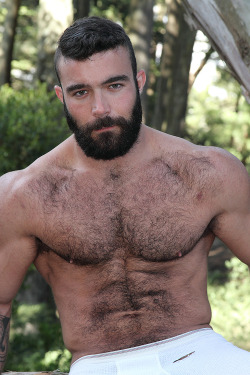 Follow my two hairy men blogs: http://sambrcln.tumblr.com http://hairysex.tumblr.com