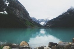 https://69.media.tumblr.com/5b3b2765a2a5fbbfa8e558ace05c0c93/tumblr_msmpdwetr41r61tjso1_500.jpg