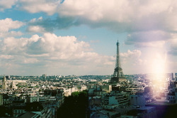 books-and-trees: Arc de Triomphe view I by