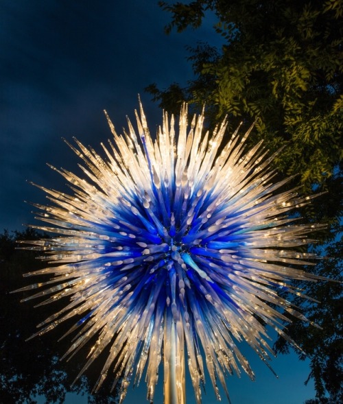 moodboardmix:Dale Chihuly, Glass Sculpture, The New York Botanical Garden.