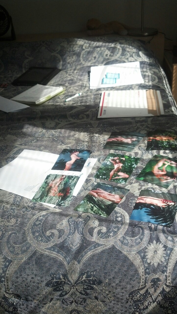 bunnyluna:  Putting everything together to ship out tomorrow! Thank you everyone