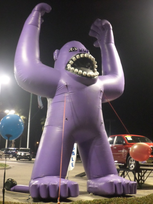 mysterymanbob:mysterymanbob:click here for more hot Bonzi Buddy bondage pics!look, I didn’t go out i