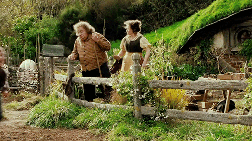 The Shire Must Truly Be A Great Realm, Master Gamgee; Where Gardeners Are Held In High Honor.
