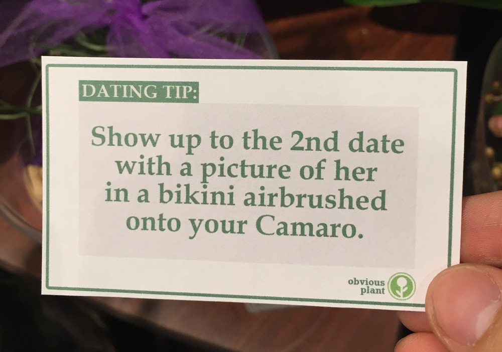 obviousplant:  Free dating advice left in the floral department of a grocery store