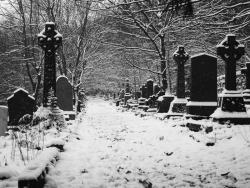 girlsinthegraveyard:Won’t you come visiting