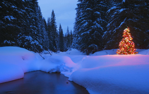 rosieandherramblings:  Merry Christmas!