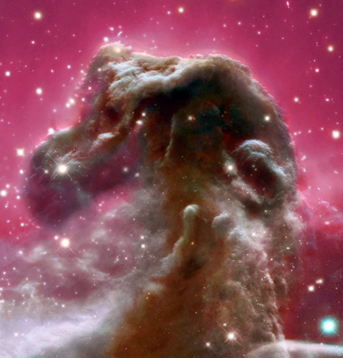 itscolossal:  Horsehead Nebula photographed in infrared.  Image Credit & Copyright: Optical: Aldo Mottino & Carlos Colazo, OAC, Córdoba; Infrared: Hubble Legacy Archive.