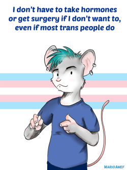 transmoment:  mjamef:  Though Tumblr is very open about non-binary, natural and other ways of transitioning, outside I’ve known plenty of people who get harassed for deciding not to take hormones or certain surgeries, even by other trans people. Medical