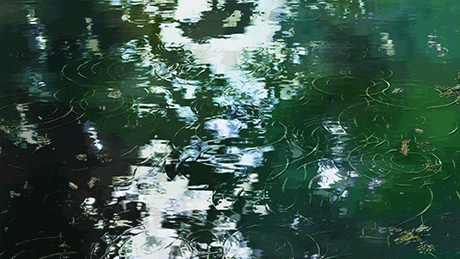 sylmoira:Garden of Words | The Beauty of Rain
