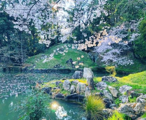 ＼おにわさん更新情報／ ‪[ 静岡県浜松市 ] 大福寺庭園 Daifuku-ji Temple Garden, Hamamatsu, Shizuoka の写真・記事を更新しました。 ――宗徧流茶道の祖