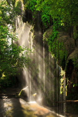 opticallyaroused:  Gorman Falls Morning -