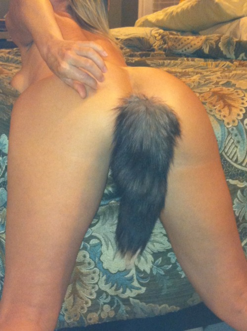 pleasureflavor:  My little foxtail butt plug adult photos