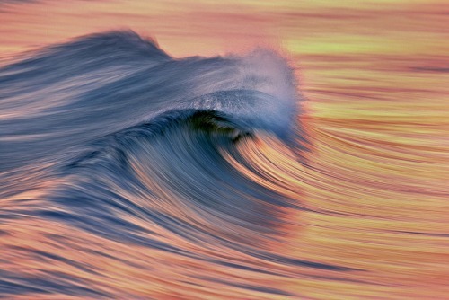 asylum-art:  David Orias’s California Waves Facebook | 500px Golden waves and other