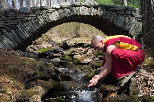 Monk life (x)