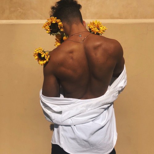 scrittoapenna: sunflowers