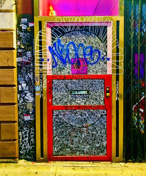 Decorated Door, East Village by Liza Charlesworth